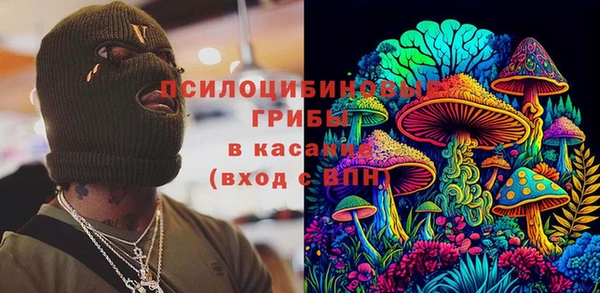 тгк Алзамай