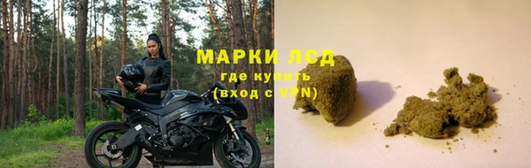 тгк Алзамай