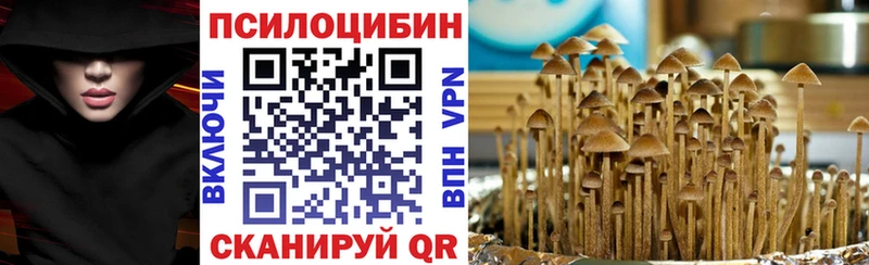 Псилоцибиновые грибы мицелий  даркнет сайт  OMG как войти  Заозёрный 